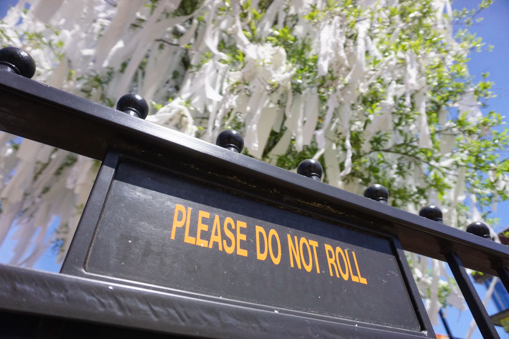 Toomer's Corner the day after